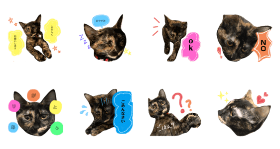 サビ猫 ぽんず O Lineクリエイターズスタンプ Stamplist