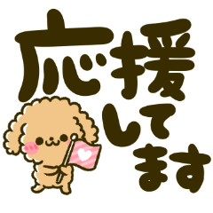 WAN TALK JAPANESE toy poodle