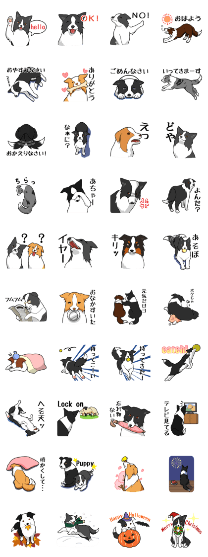 Border collie Sticker