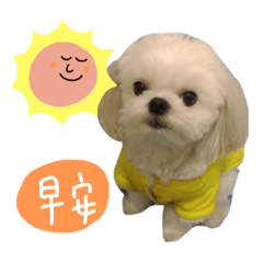 球球陪在妳身邊