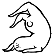 rabbit with beautiful legs 2