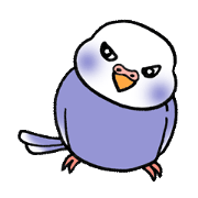 "Daily Budgerigar" With bird 04