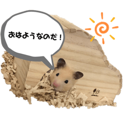 kurumi_20200115155409