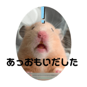 Kimkuma.Ham karimchan stamp