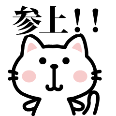 cat  sticker