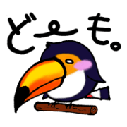 Hekotare Toco Toucan -He wanna be major-