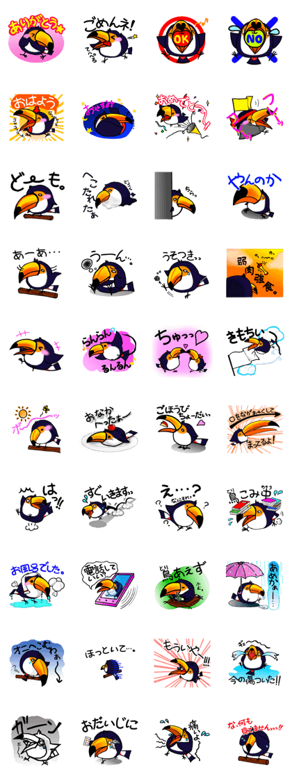Hekotare Toco Toucan -He wanna be major-
