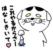 I am Yuru, Scottish Fold 2!
