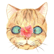 Capricious cats