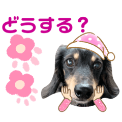 junko_20200115180754