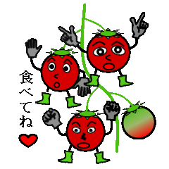Tomato brothers