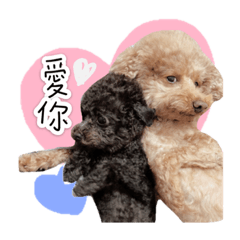貴賓兩兄妹