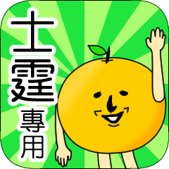 【士霆】專用 名字貼圖 橘子