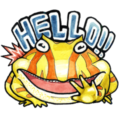 黃金角蛙-咖哩