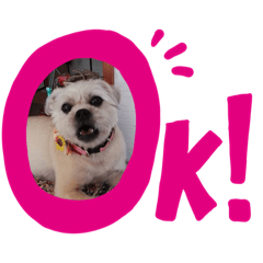 momoko_20200115224440