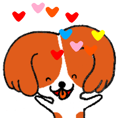 Funny Cavalier dog