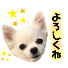 saya_20200115222738