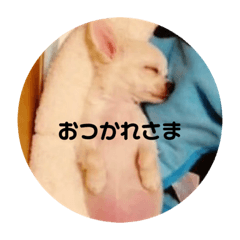 cherry_20200116095206