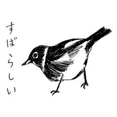 スタイリッシュな鳥 Lineスタンプ Stamplist