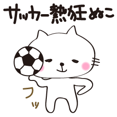 Crazy Soccer CAT