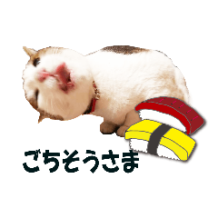 popo_20200116102419
