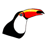 Wonderful birds