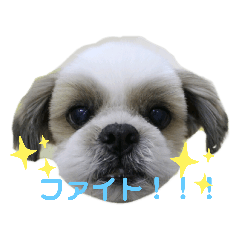 mimi_20200116175811