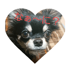 chie_20200116180118