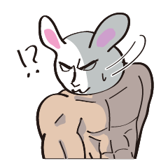 muscle rabbit
