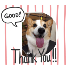 kotaken_20200116205731