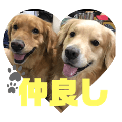 RINA_20200116204944