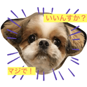Hasshi_20200116232225