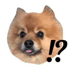 king_20200117053926