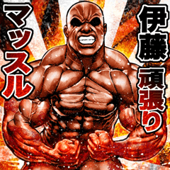 Itou dedicated Muscle macho sticker 2