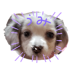 chiro_20200117151817