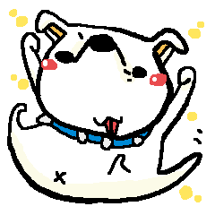 kuma-chan whitedog
