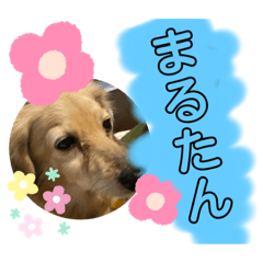 asuka_20200117184419