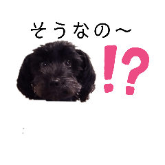 tonton_20200117181914