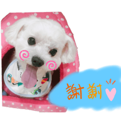 貪吃錢錢上線嘍