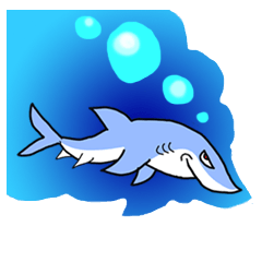 Cool Shark