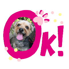 satoshi_20200117233048