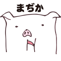 WHITE PIG IN KOMAGAWA