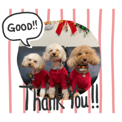 Ayumi_20200118004539