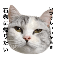 NOZOMI_20200118001714