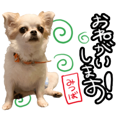 MITUBAchan Sticker