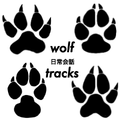wolf tracks(japanese language)_sunoob.