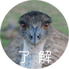 Australian Birds stamp