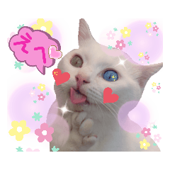 omochi_20200118090659