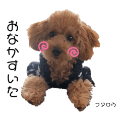 Kotaro's STAMP dairy ver.