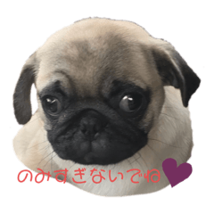 saya_20200118090841